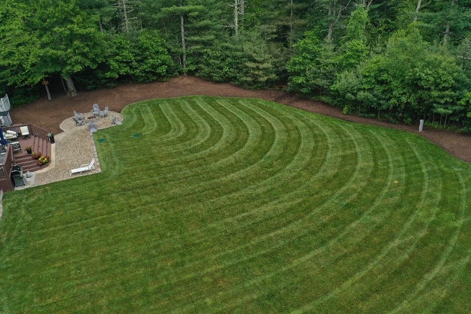 Lawn mowed in curved, arching patterns in a backyard; trees in background, patio on the left.