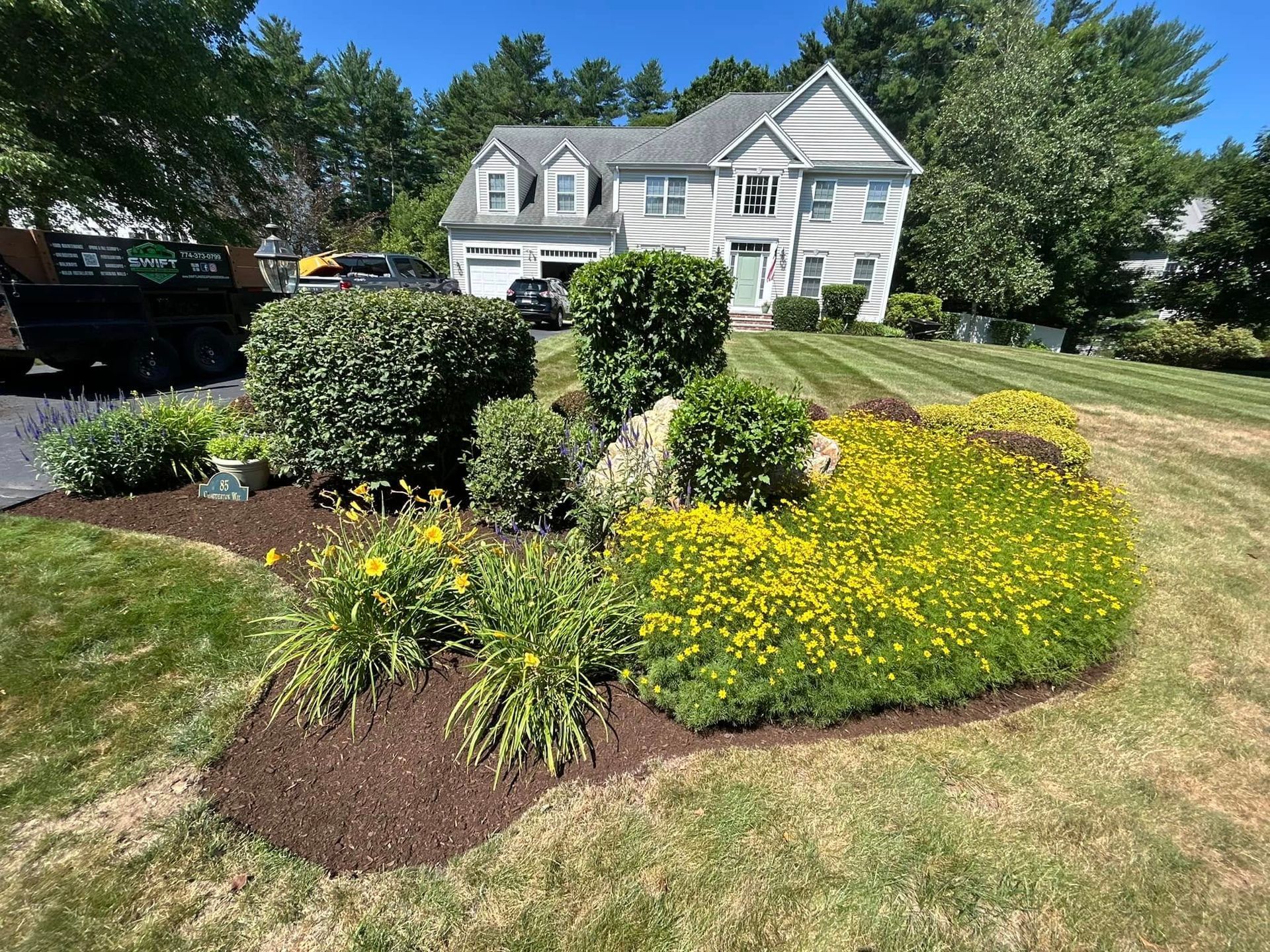 Front yard garden with flowering yellow plants, shrubs, and a house with a blue door.