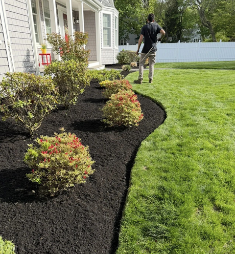 A person trimming grass next to a flower bed filled with black mulch and green bushes.