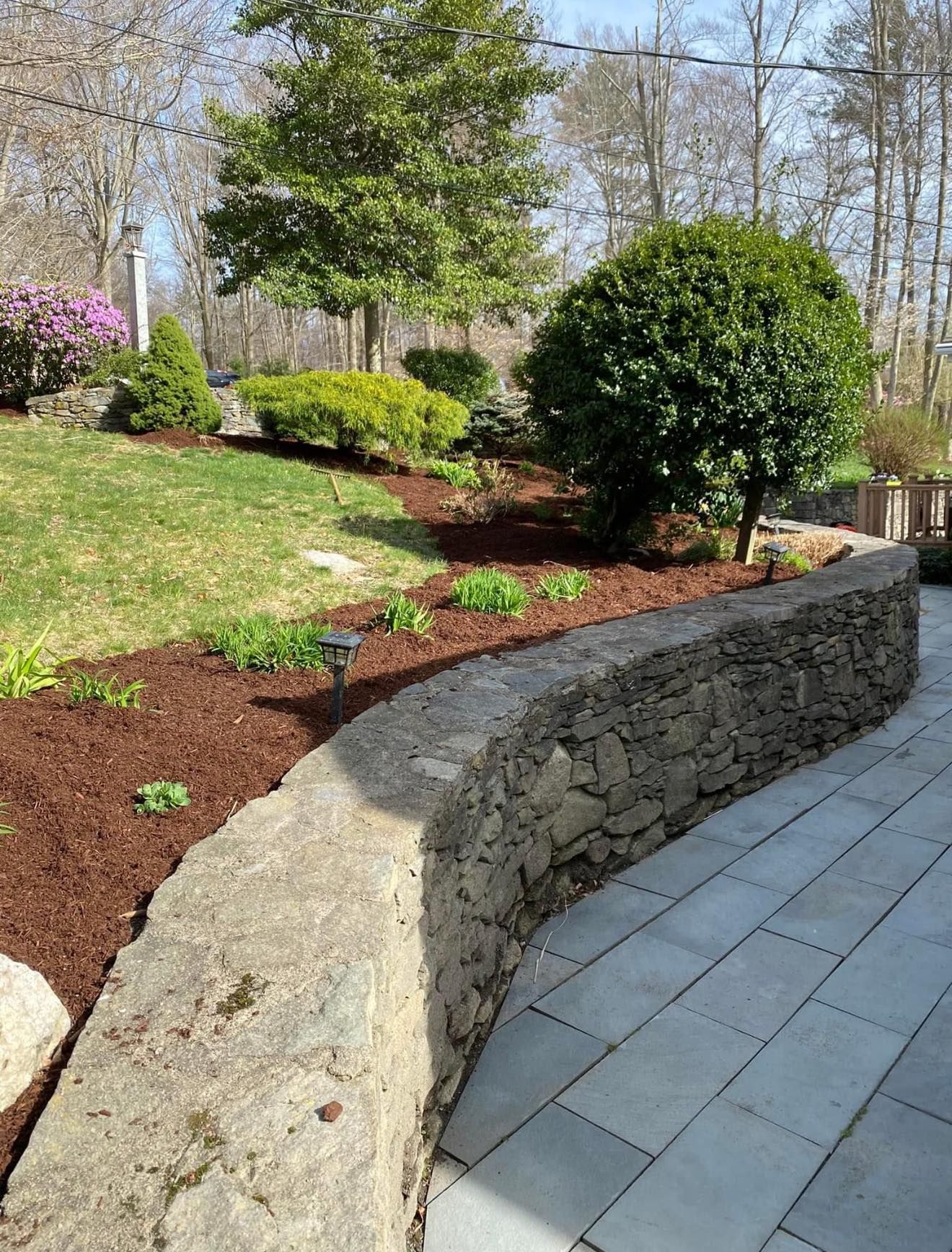 Stone wall curves beside a patio, bordering a garden with trees, mulch, and greenery.