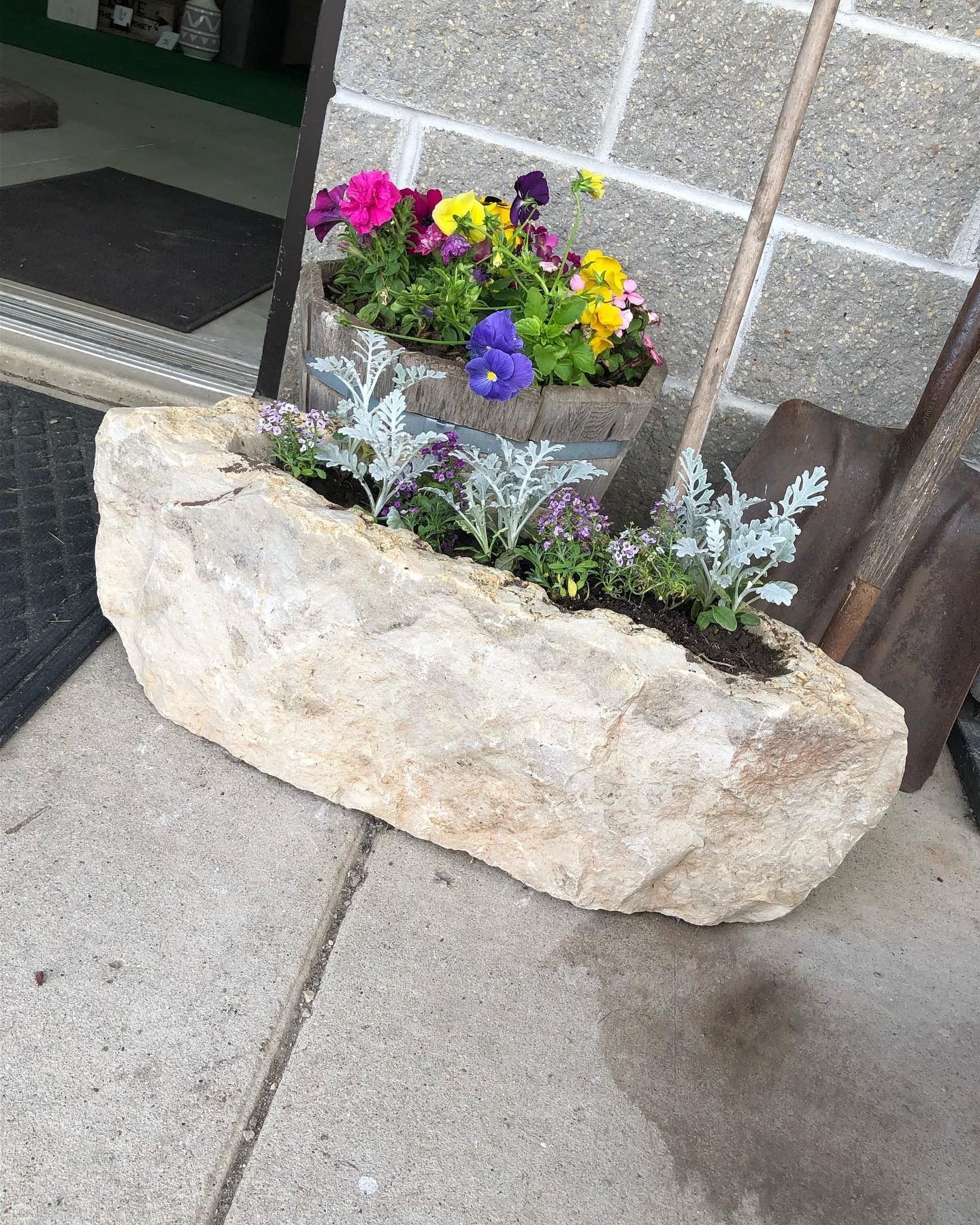 A rectangular stone planter with silver-leaf plants in front and colorful pansies in a pot behind it on a concrete patio.