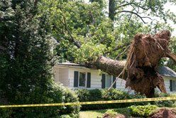 Storm Damage