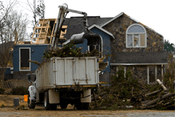 debris