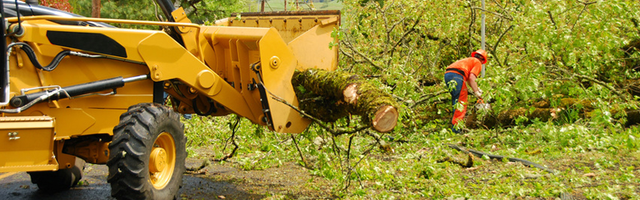 Land Clearing | Lot Clearing | Michigan City, IN