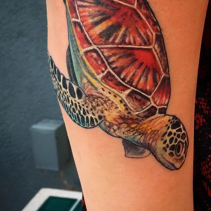 Turtle tattoo