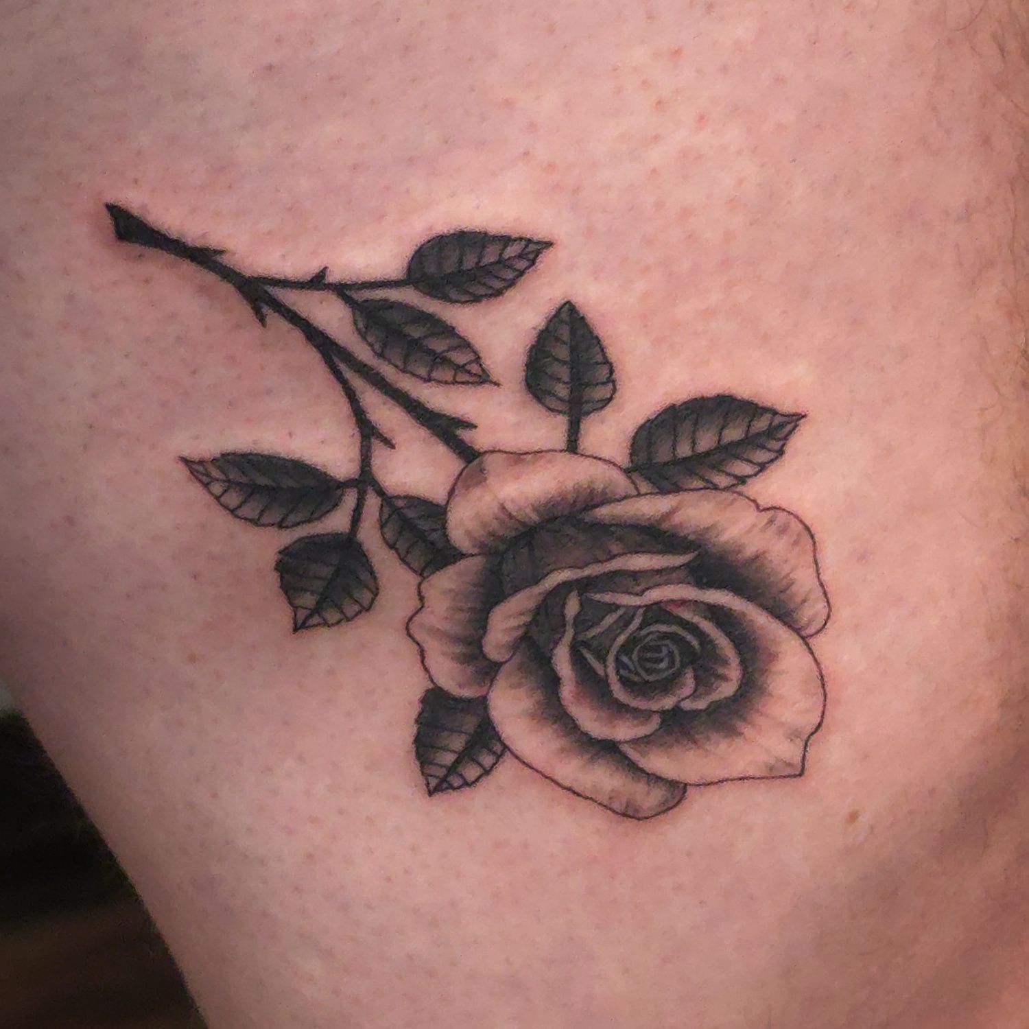 Rose tattoo