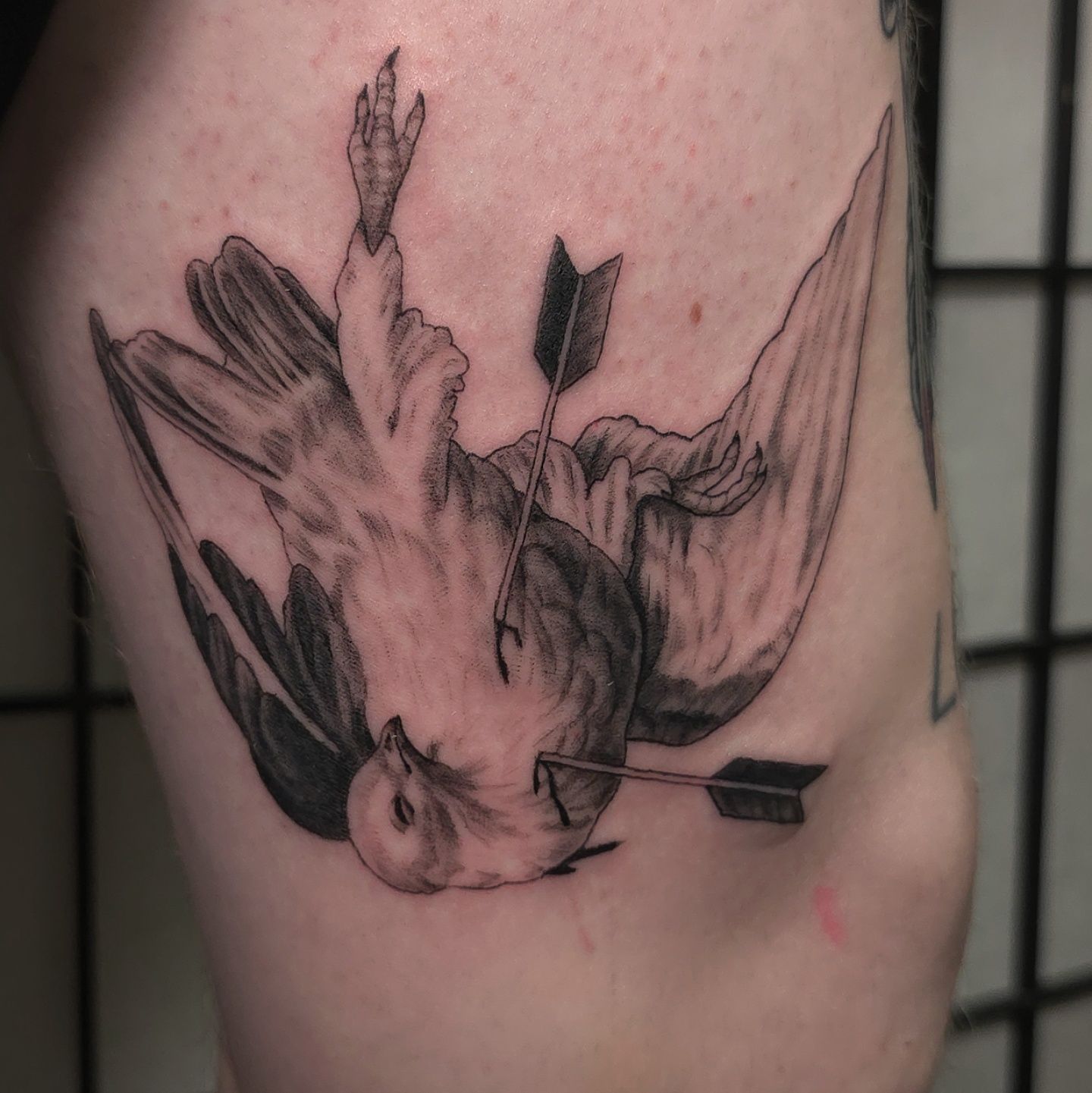 Bird shot by arrows tattoo