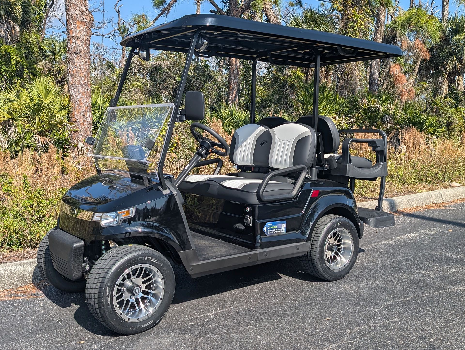 Star EV Carts - Sirius Golf Cart