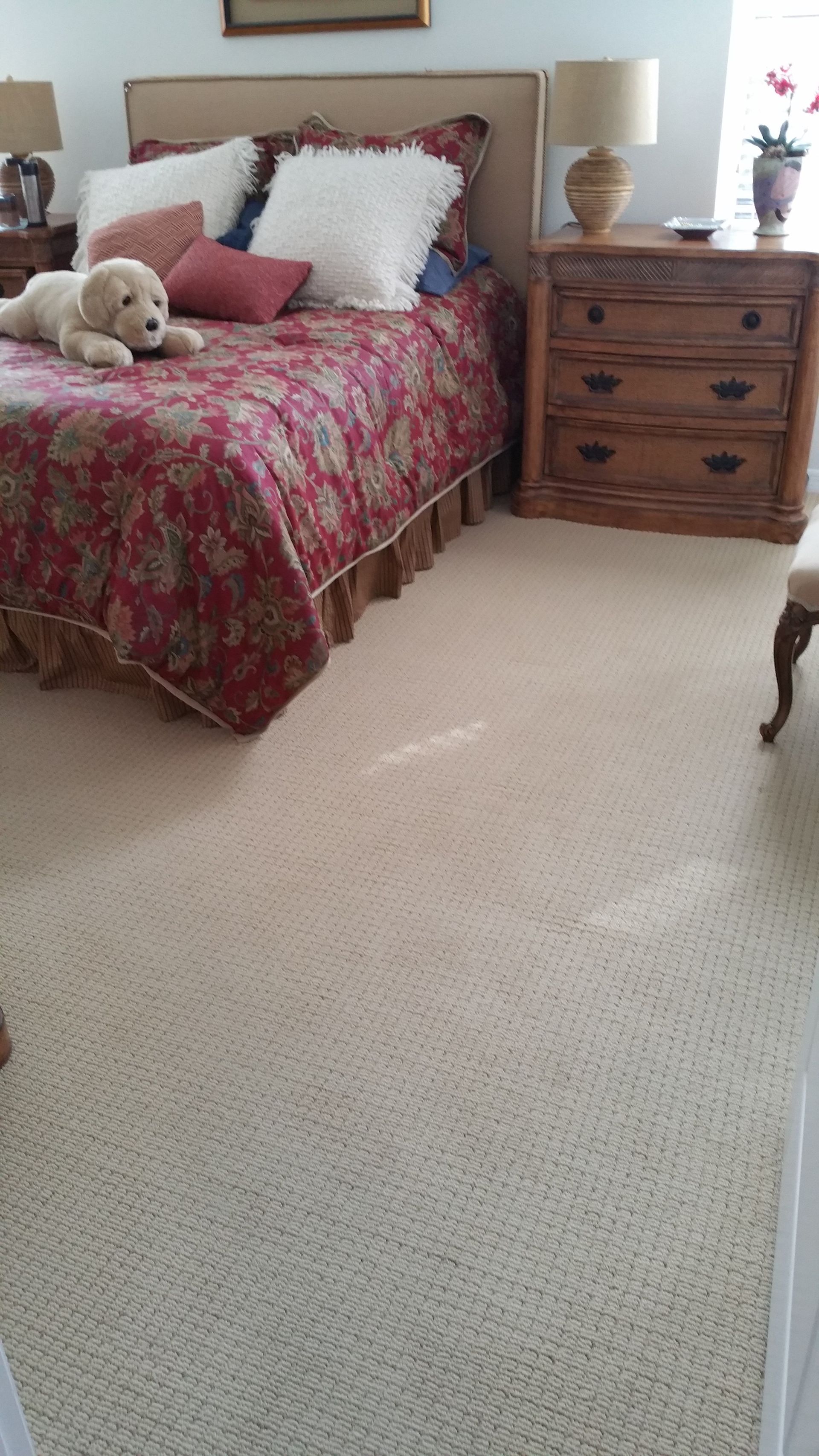 Carpets Residential Carpets Sarasota, FL