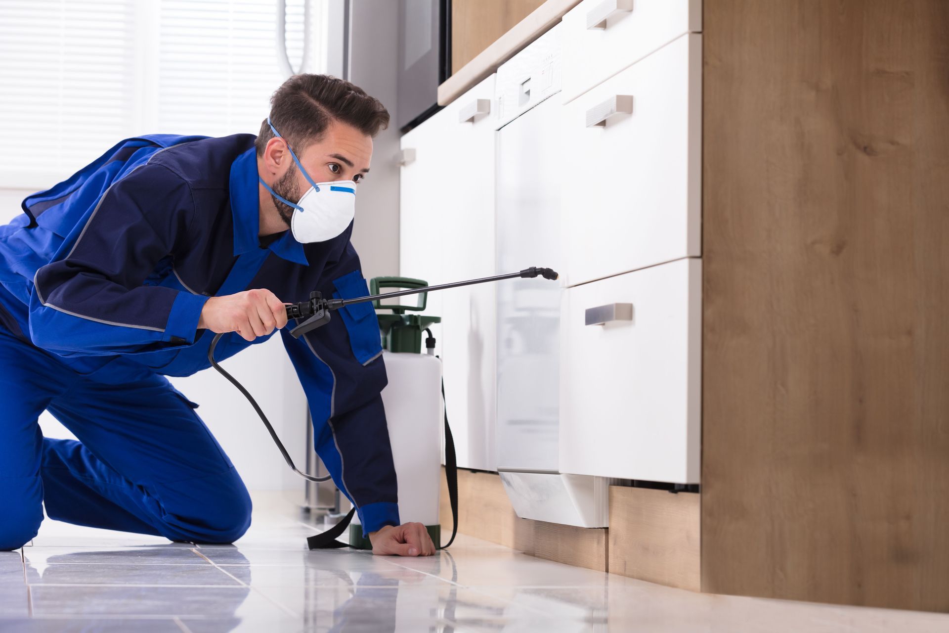 pest control service