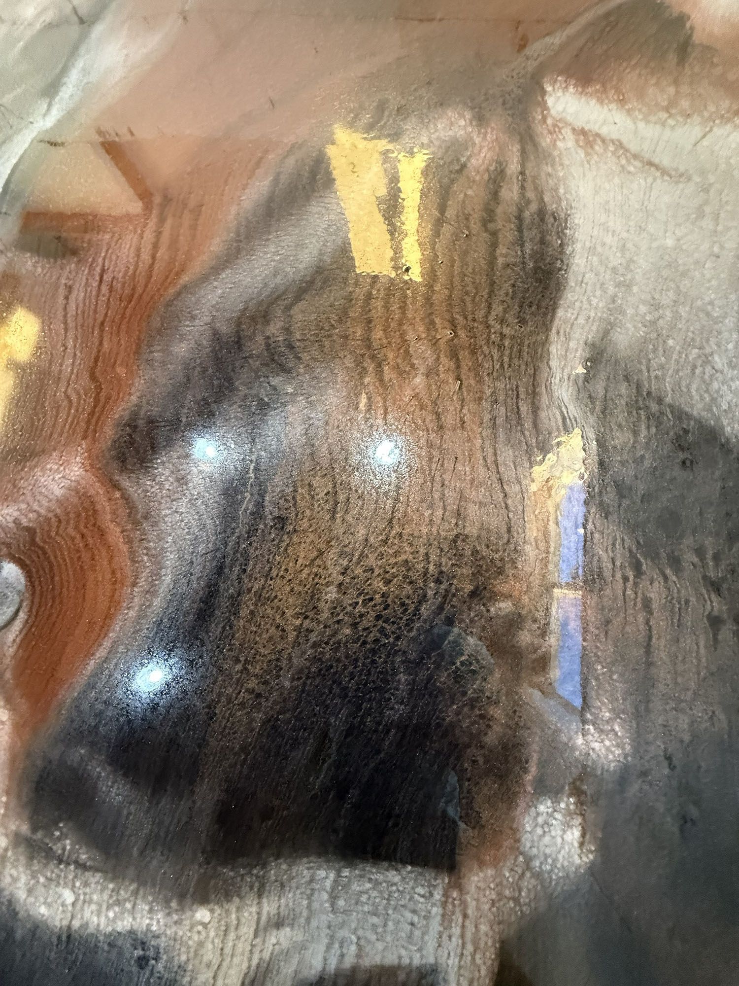 Close-up of a glossy brown horse head with a white blaze, reflecting bright lights.