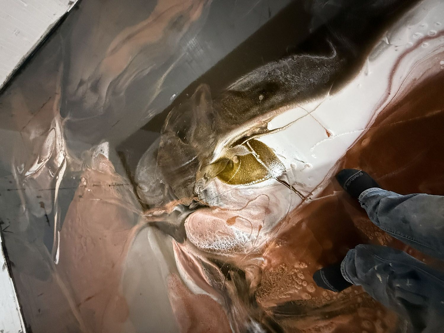 Close-up of a brown and white fish being held with gloved hands in a wet, reflective surface.