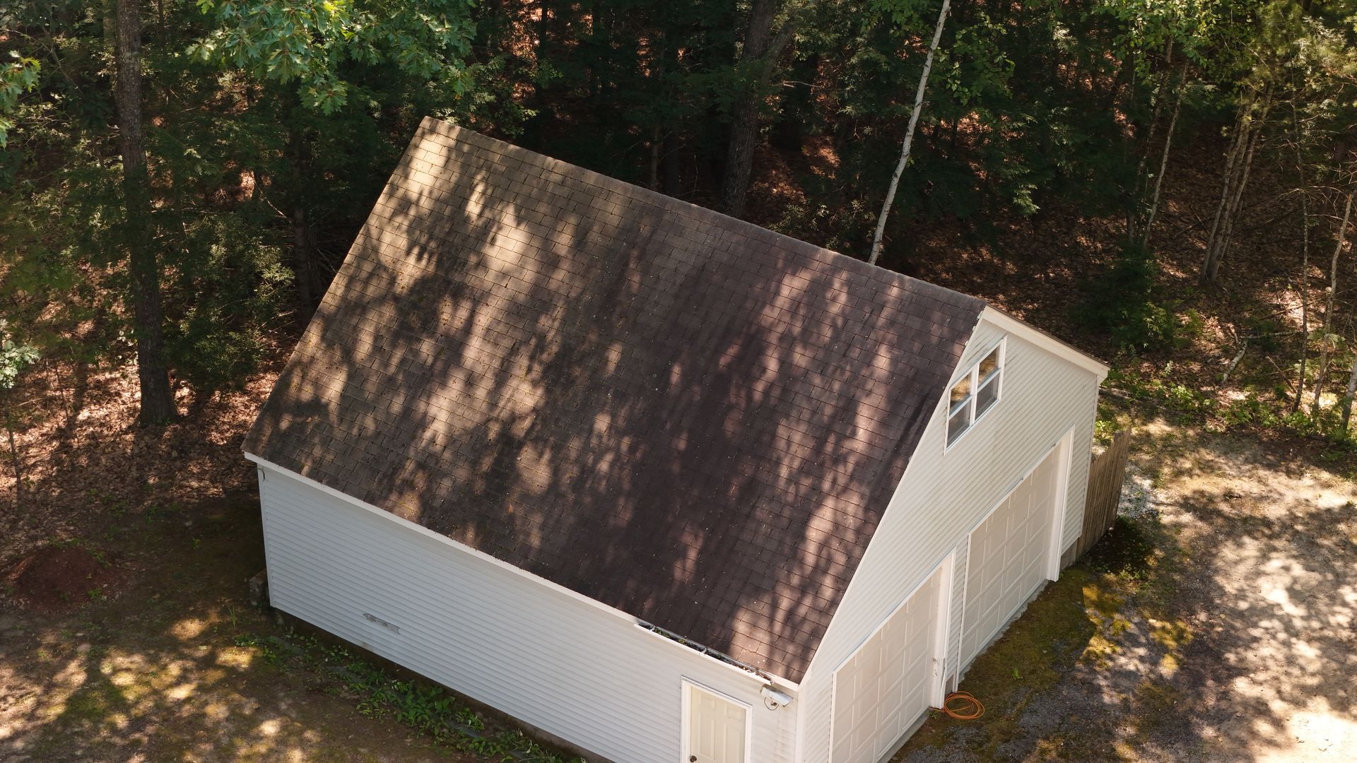 White storage shed with dark roof, set in a forest with sunlight dappling the roof.