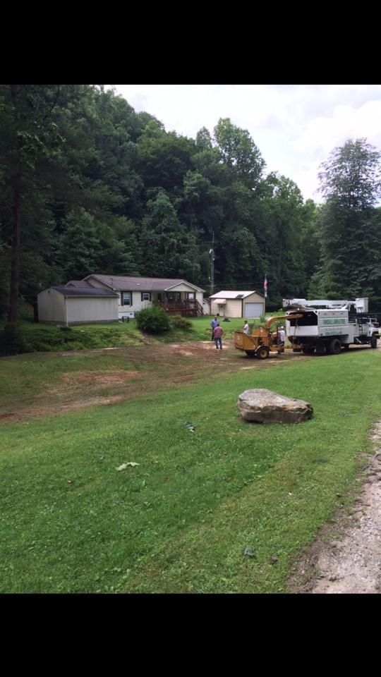 tree removal
