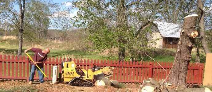 Stump Grinding