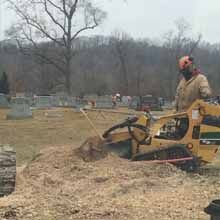 Stump Grinding