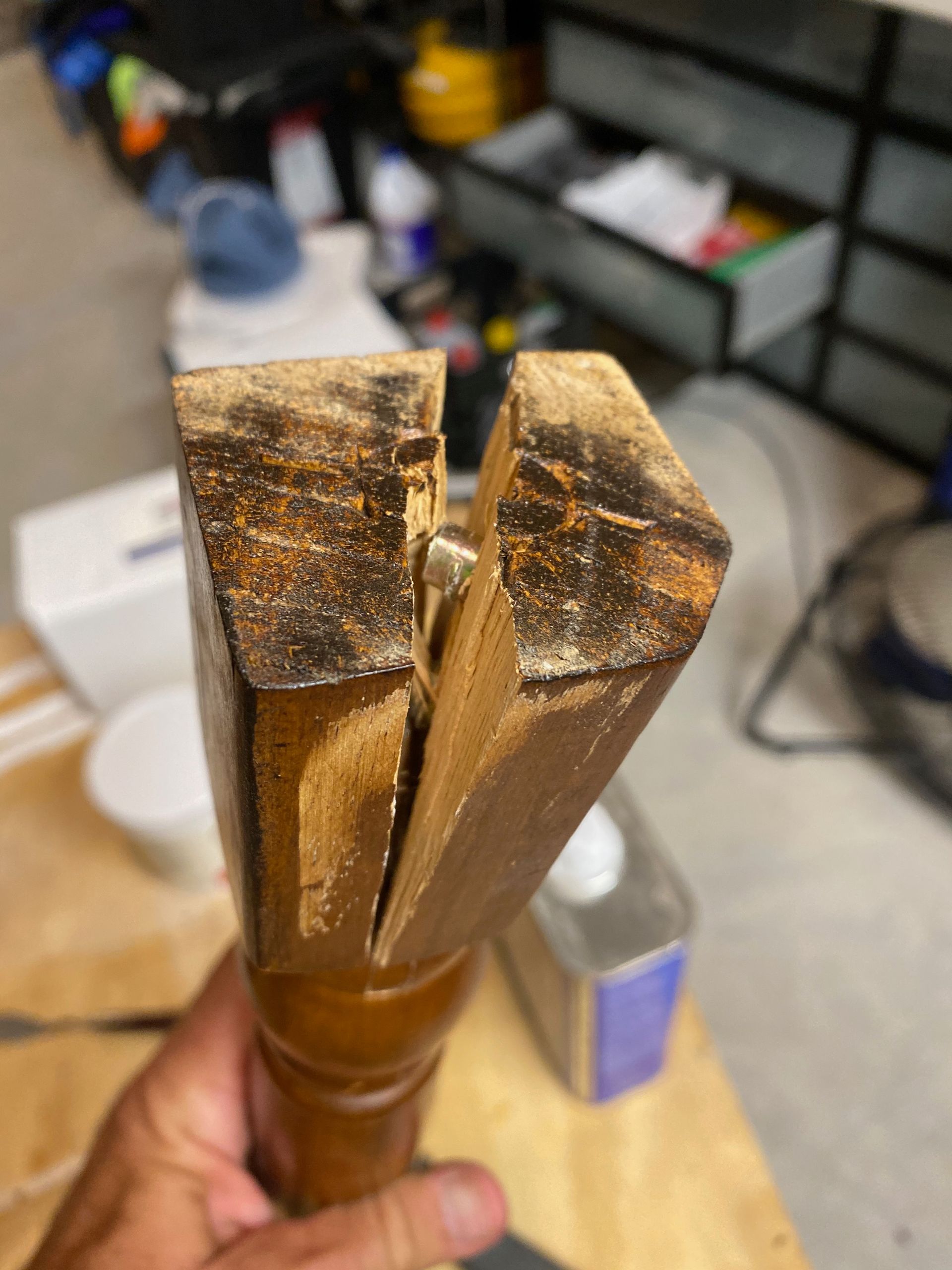 A person is holding a piece of wood that is broken in half.