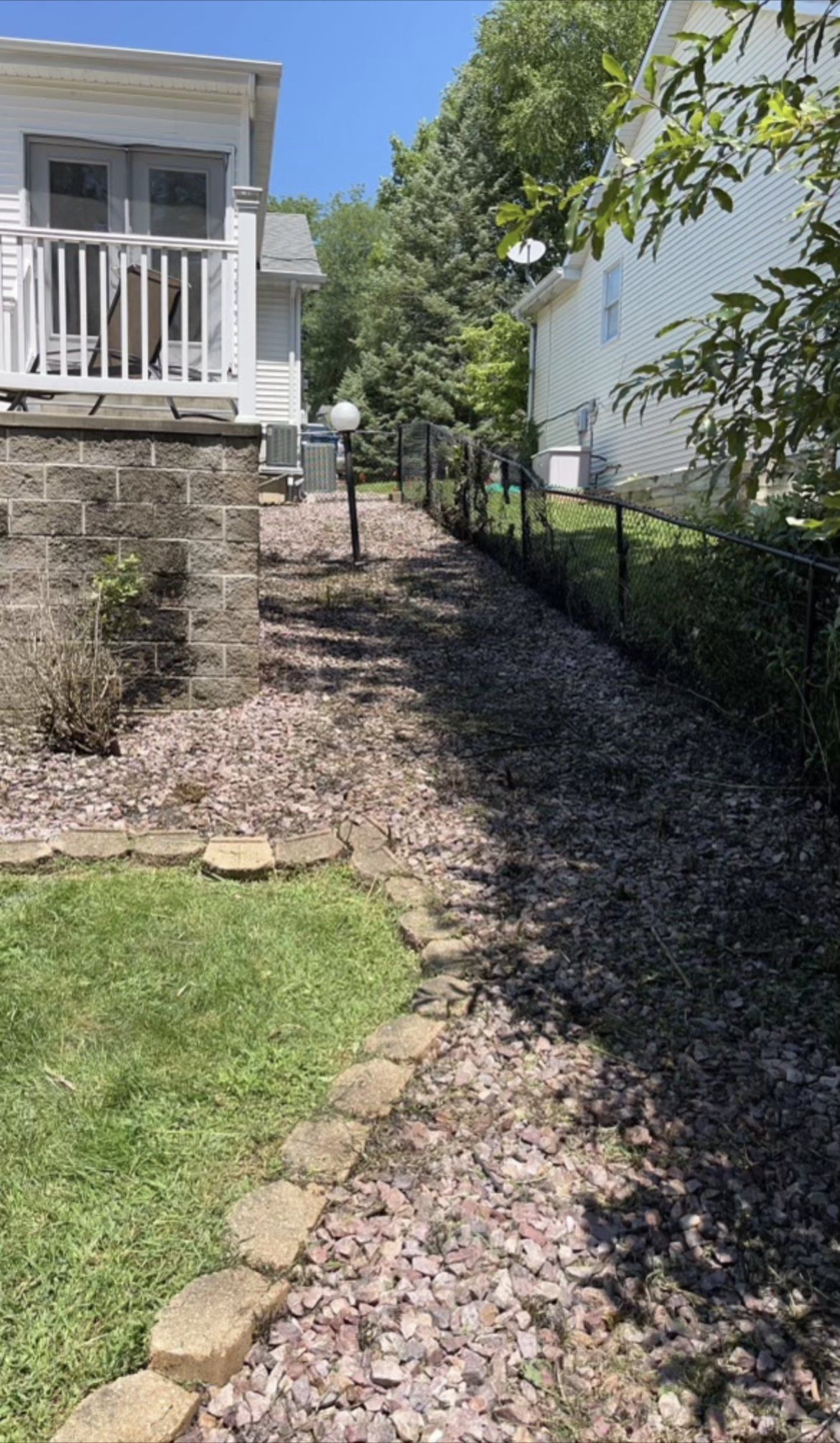 backyard with plants