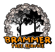 Brammer Tree Service and Stump Removal Logo