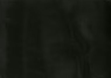 Dark, blurred background.