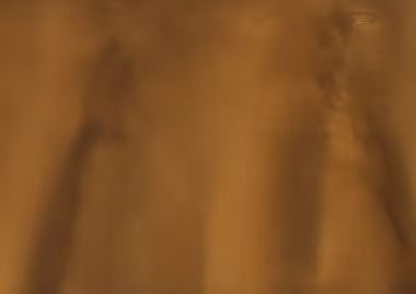 Blurred, tan-colored backdrop with two vertical shadowy figures.