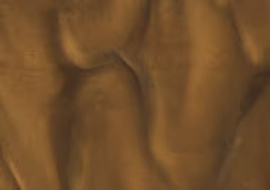 Sand dunes, textured brown surface with flowing, wave-like patterns.