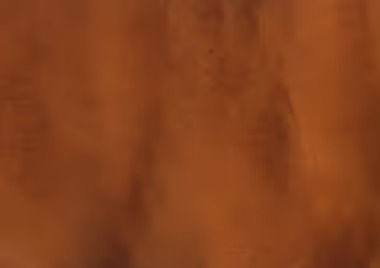 Close-up of a wood grain pattern, showcasing vertical streaks of brown and orange hues.