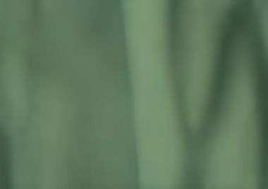 Soft, green fabric with subtle vertical folds.