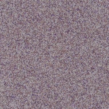 Close-up view of speckled, mottled surface in shades of purple, brown, and white.