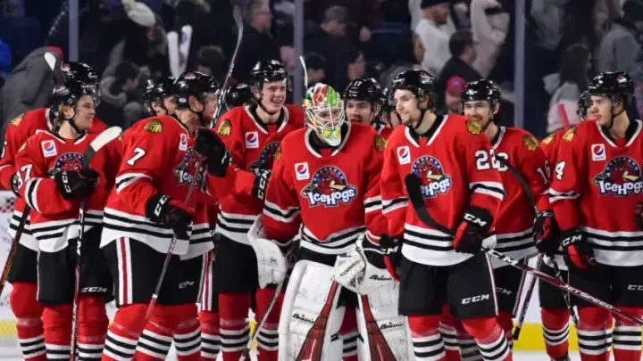 Rockford Rides transportation for groups of up to 14 passengers to IceHogs games at the BMO Center.