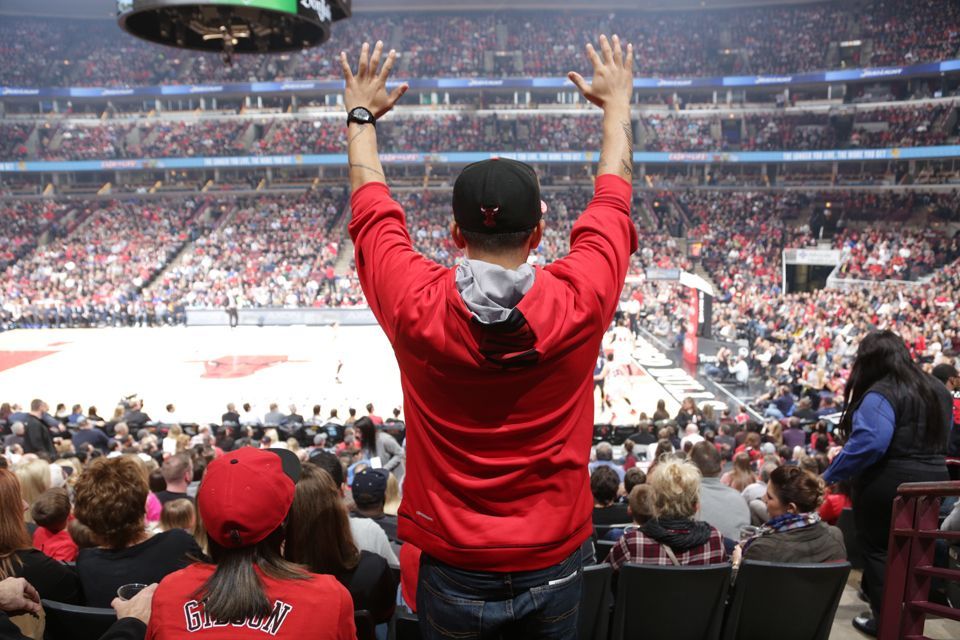 Chicago Bulls logo or image of the basketball court, to emphasize the destination of the limo or party bus ride_Rockford Rides