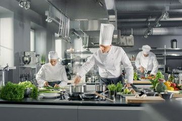 Restaurant chefs preparing food