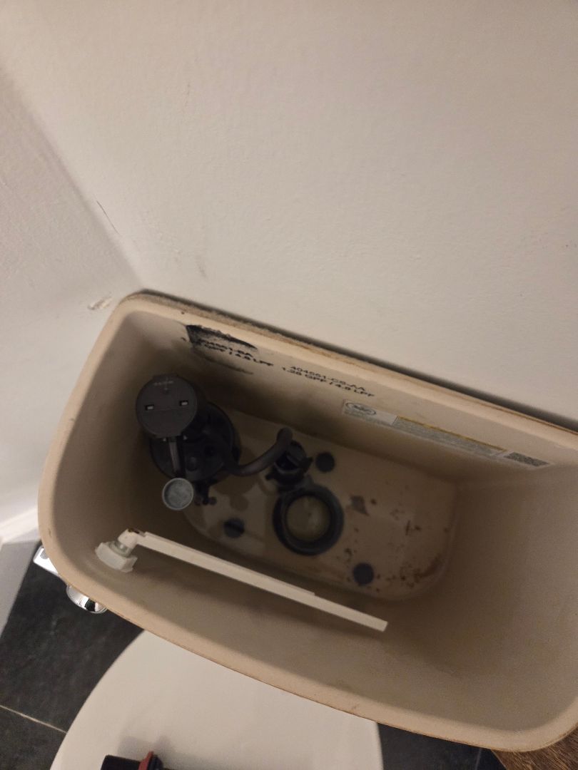Close-up of the inside of a toilet tank showing the flush valve and fill valve, common causes of a r