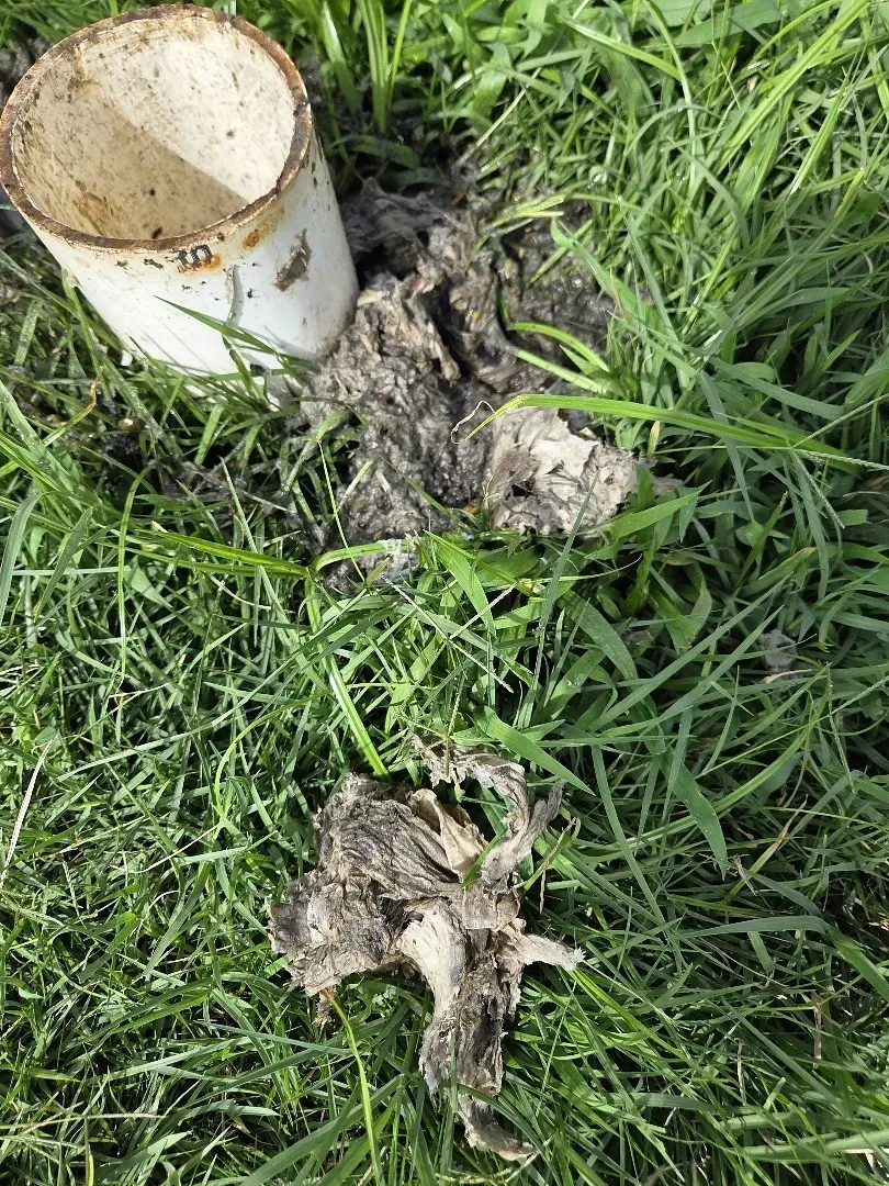 Flushable wipes removed from a clogged sewer line by a plumber