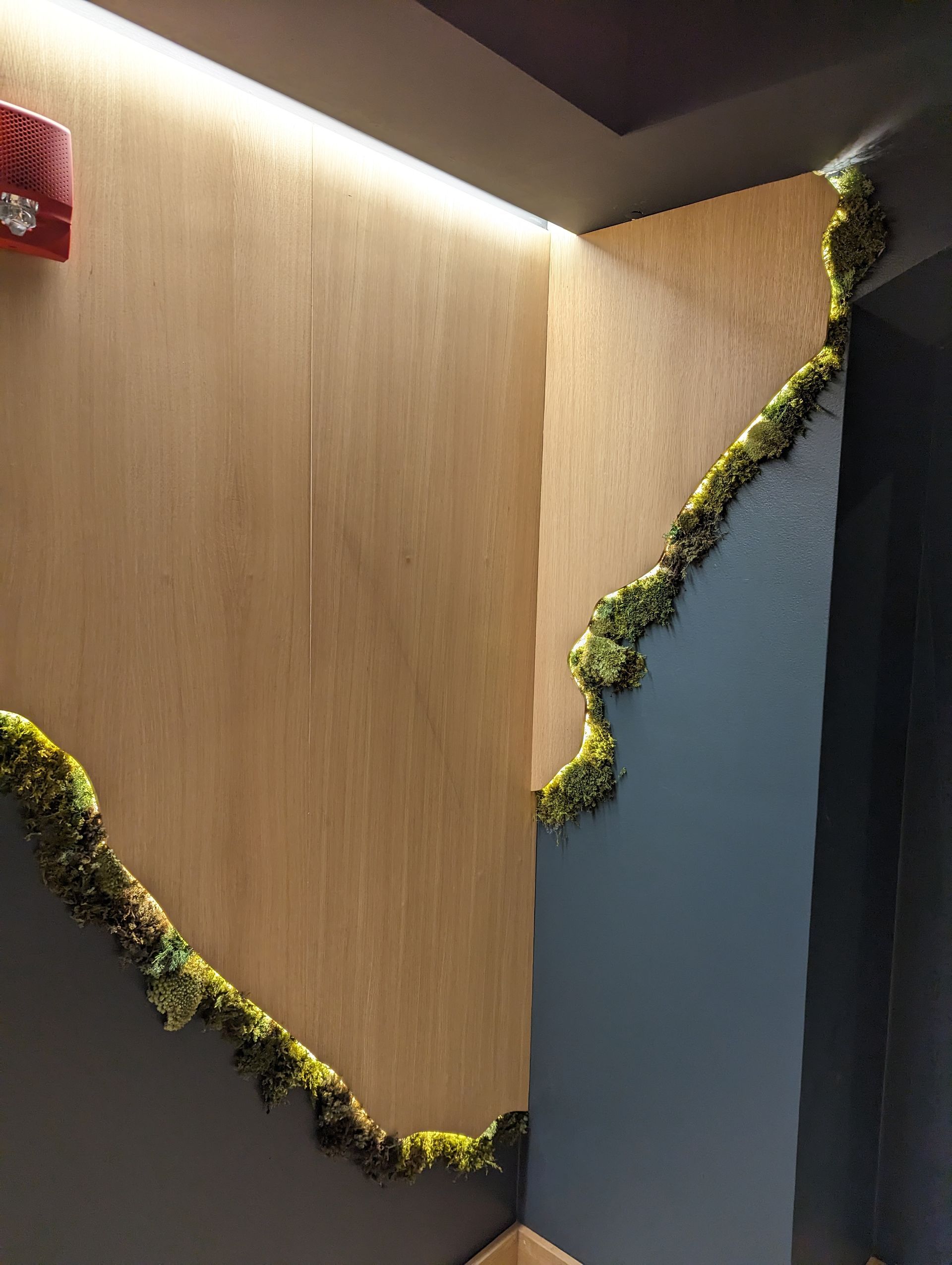A room with a wooden wall and a staircase with moss on it.