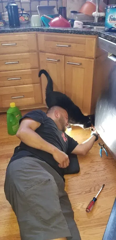 Man lying on the floor, working on a cabinet with a black cat nearby in a kitchen.