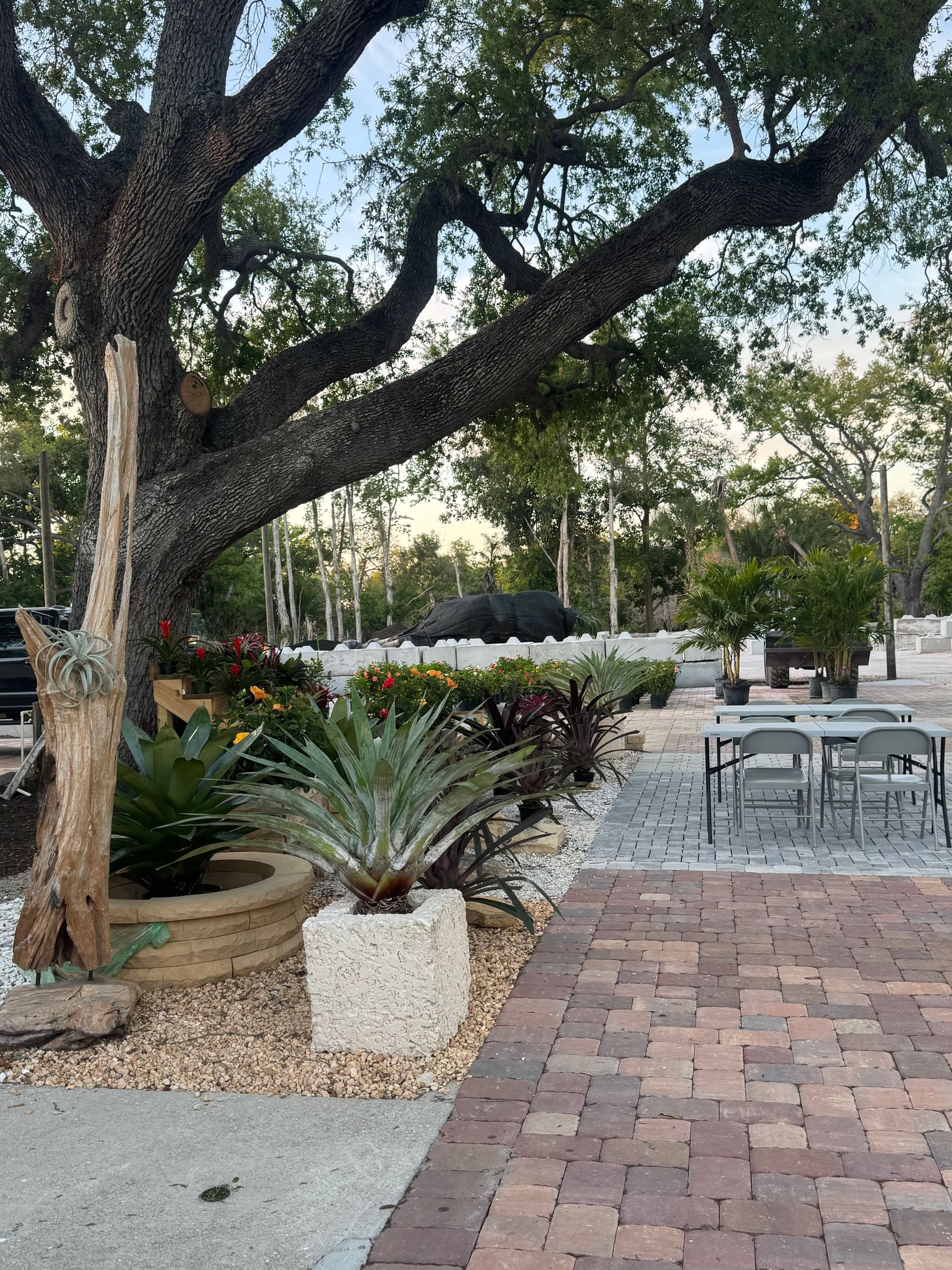 Shaded garden patio with brick path, large tree, potted plants, and outdoor tables and chairs.