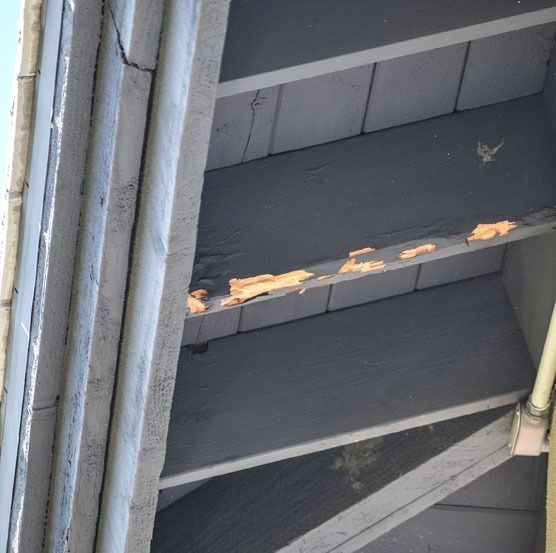 Close-up of gray painted wooden stairs with peeling paint on a worn step.