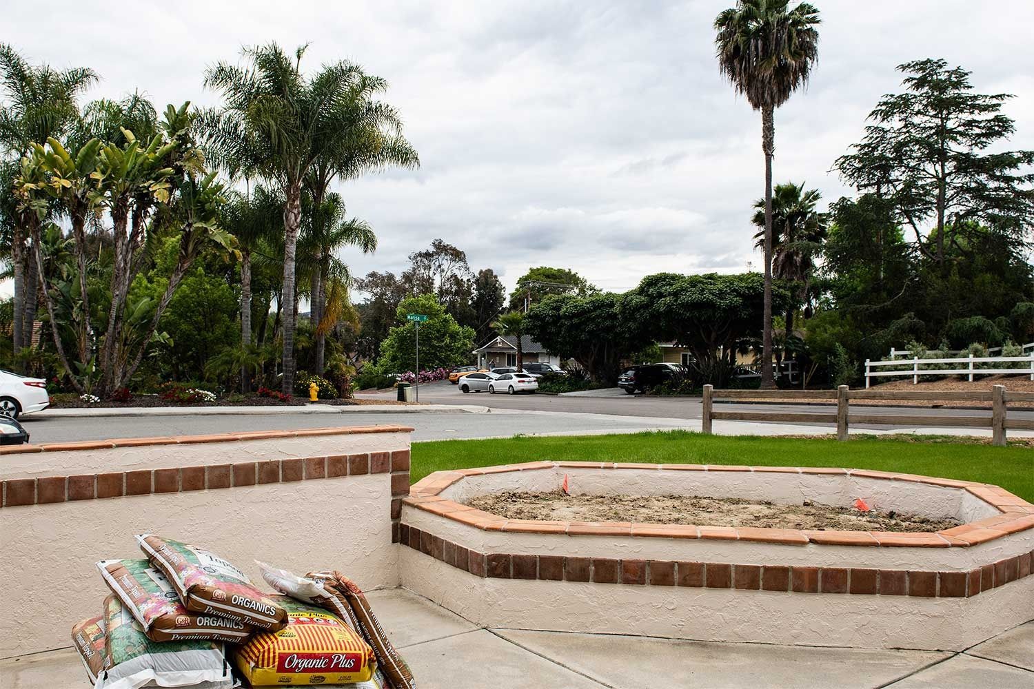 Courtyard with a circular planter, parked car, and palm trees under an overcast sky