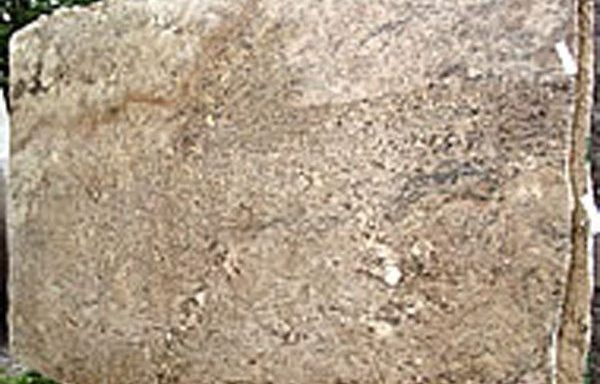 A close up of a large rock sitting on top of a table.