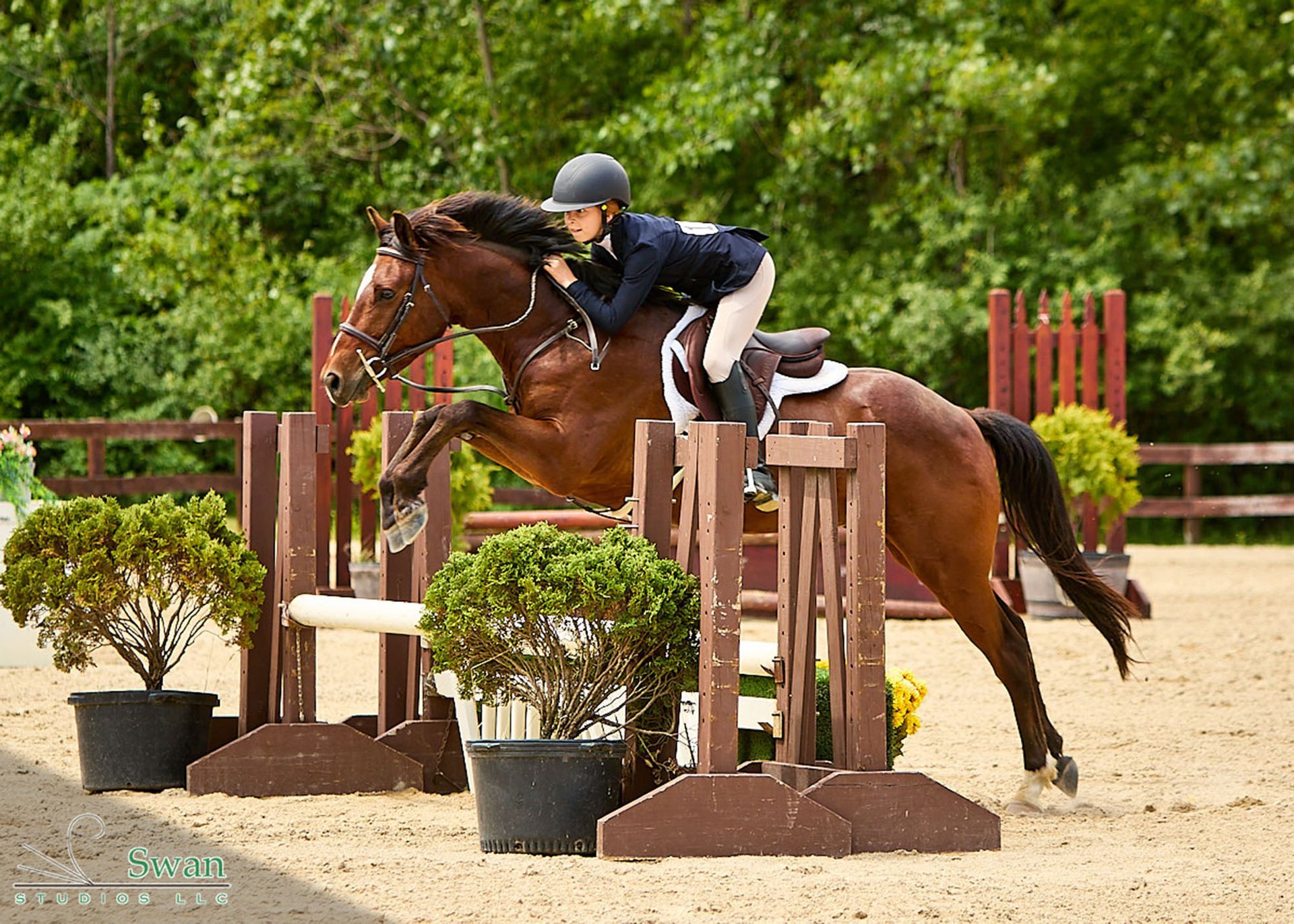 Horse and rider clearing a jump in an outdoor equestrian arena with potted shrubs and wooden obstacles.