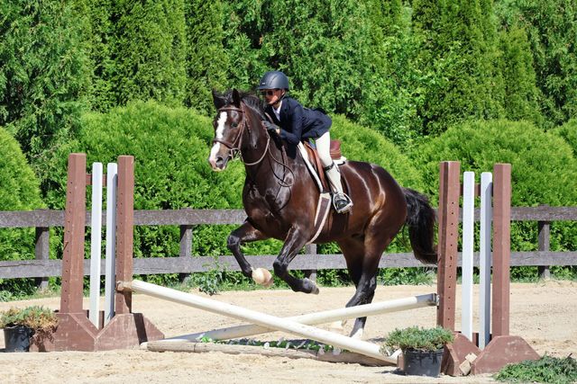 Horse and rider clearing a jump in an outdoor arena with green trees behind them