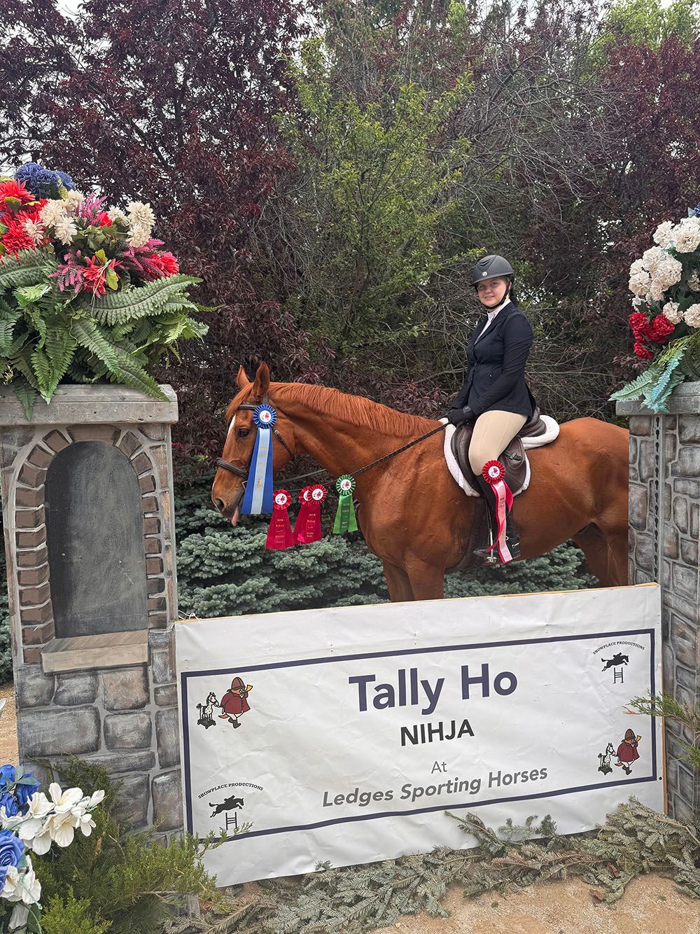 Woman on chestnut horse at a show jump, with sign reading “Tally Ho NIHJA” and flowers nearby