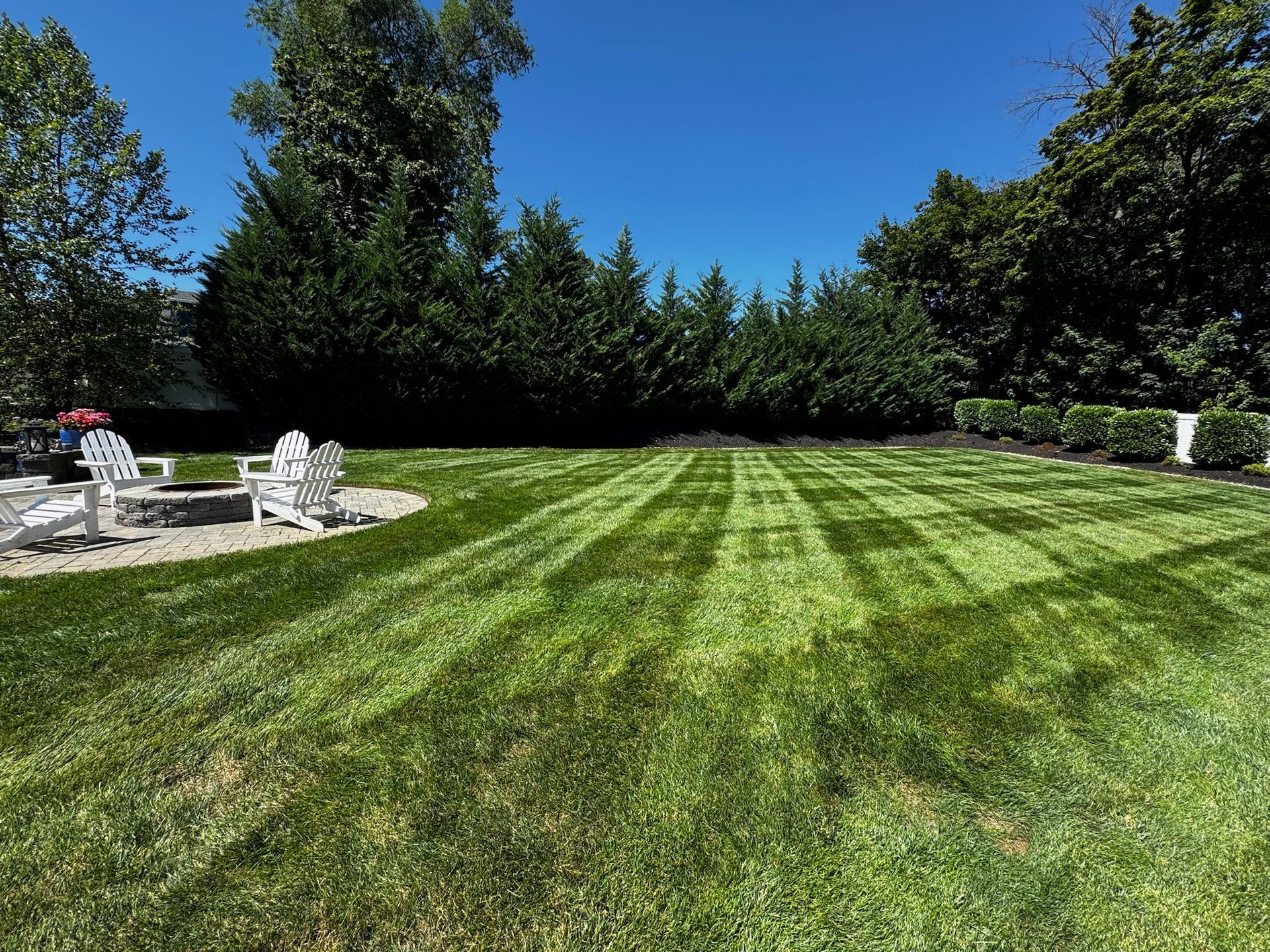 Lawn with striped mowing pattern, fire pit with white chairs, and a row of tall green trees under a clear blue sky.