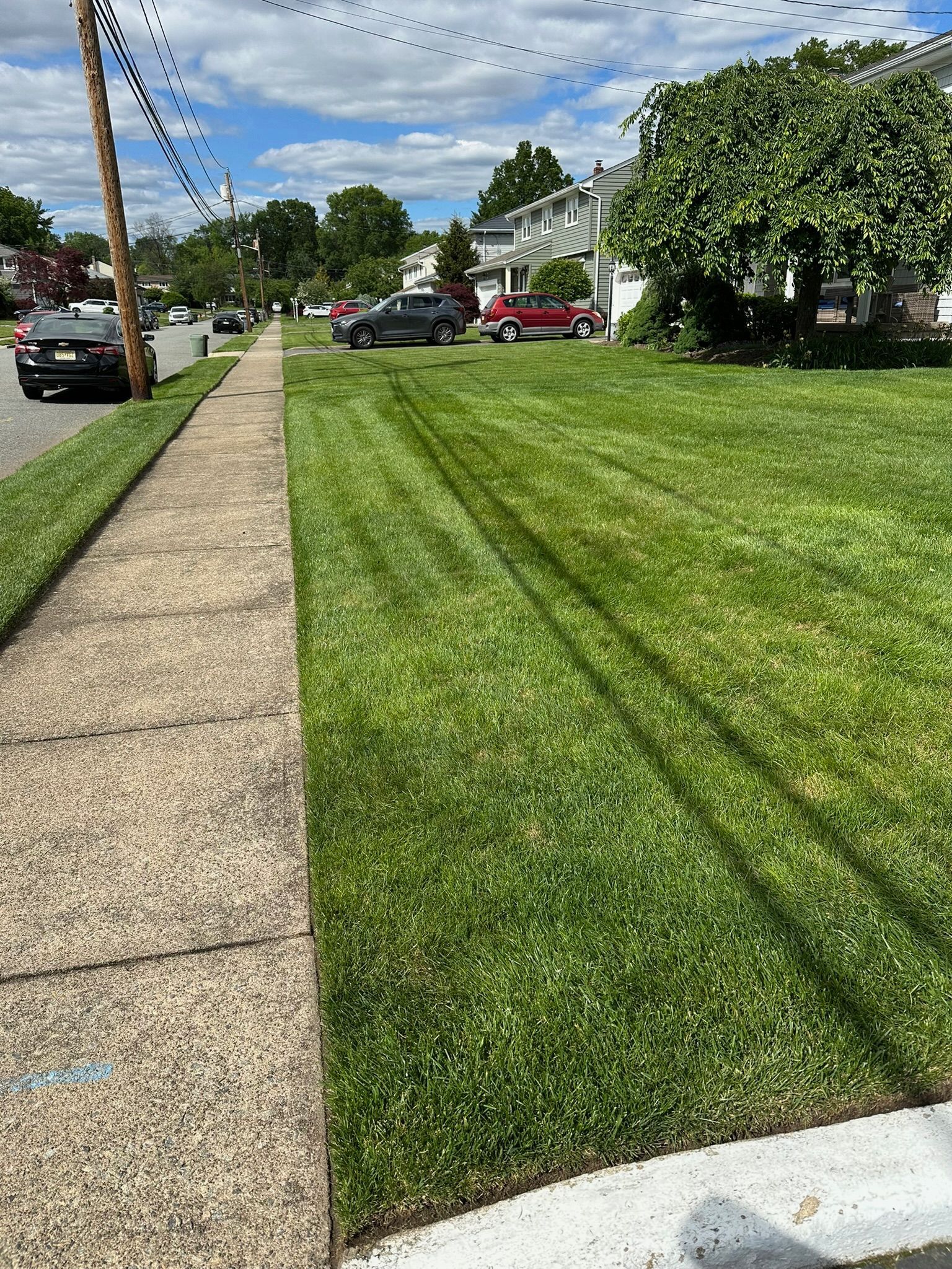 Sidewalk next to a freshly mowed lawn with dark tire tracks; houses and street in the background on a sunny day.