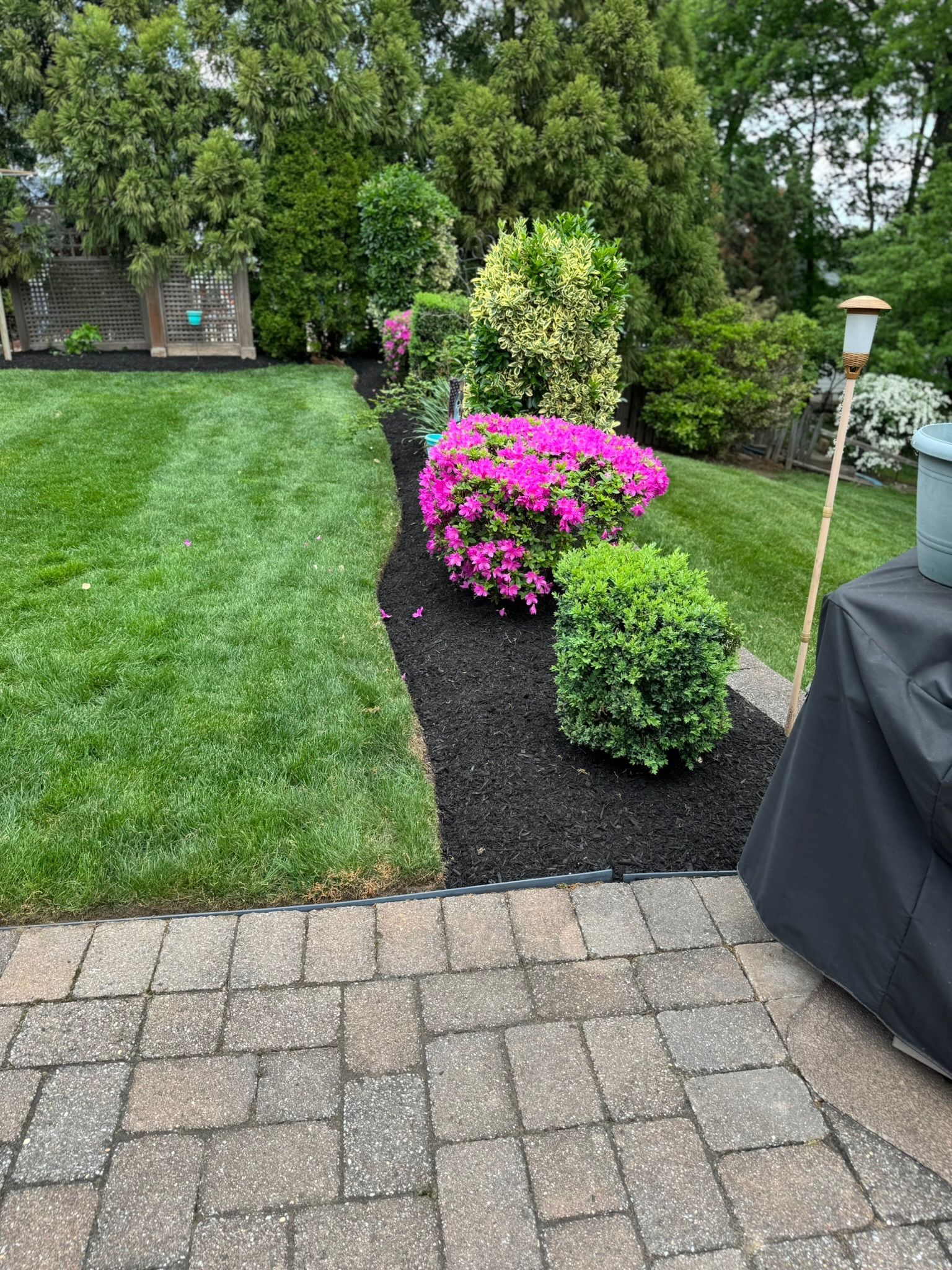 Lush backyard with a mulch-lined garden bed of pink flowers and green shrubs next to a perfectly mowed lawn.