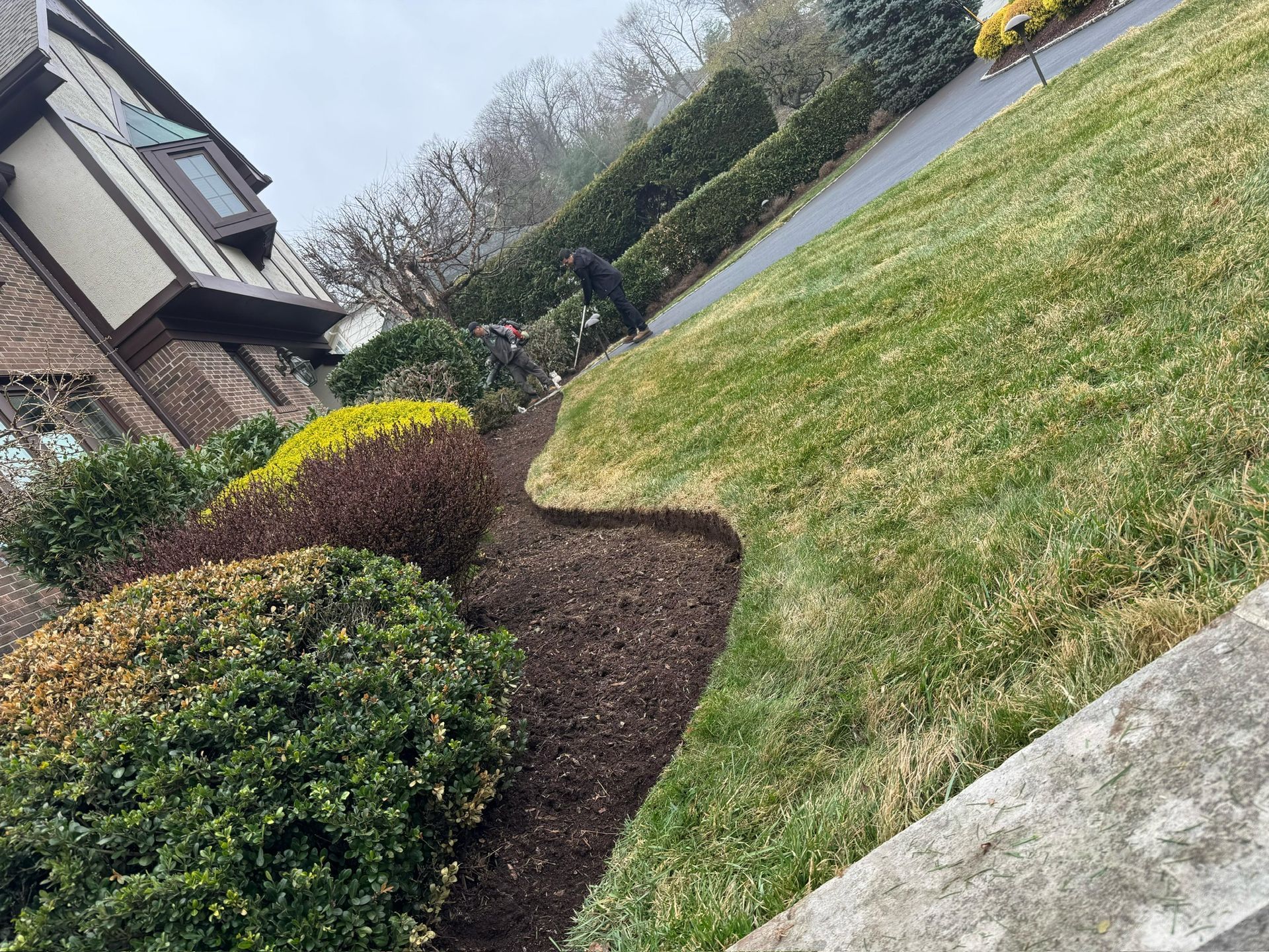 Lush garden bed with dark mulch borders green grass and a brick home. A black dog is walking.