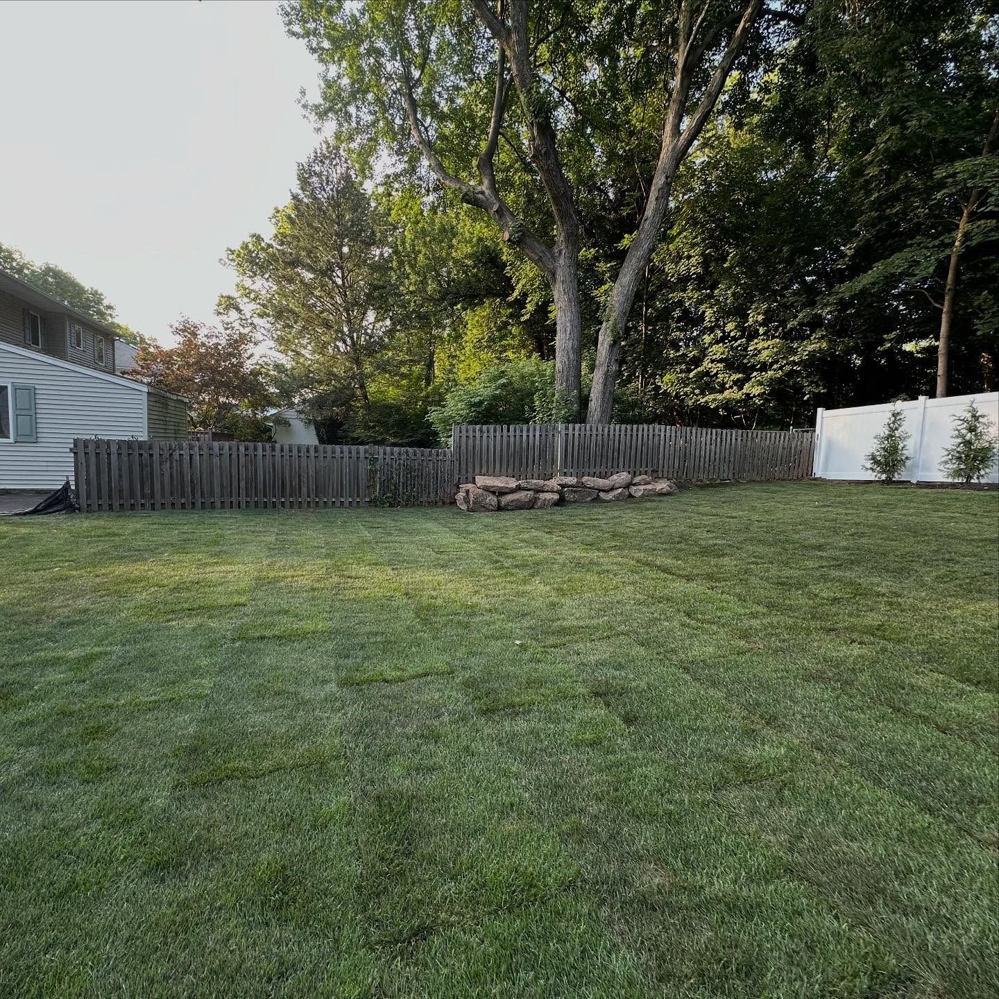 Lush green backyard with a wooden fence, trees, and a house.