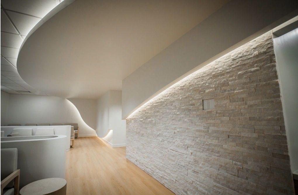 Modern minimalist hallway with curved ceiling, white brick wall, and light wood floor.