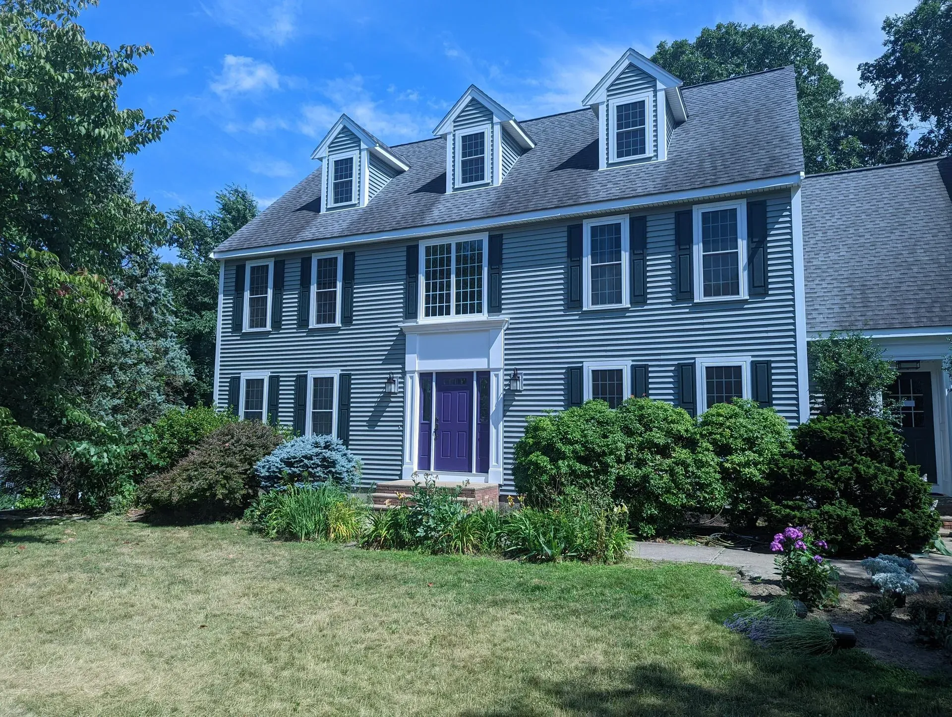 Colonial-style gray house with white trim, purple front door, and dormer windows, set in a leafy yard